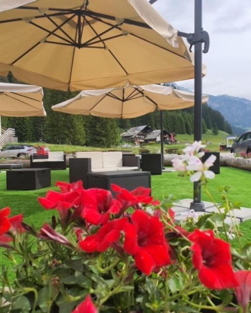 Soggiorno Dolomiti Mazzin Exterior foto